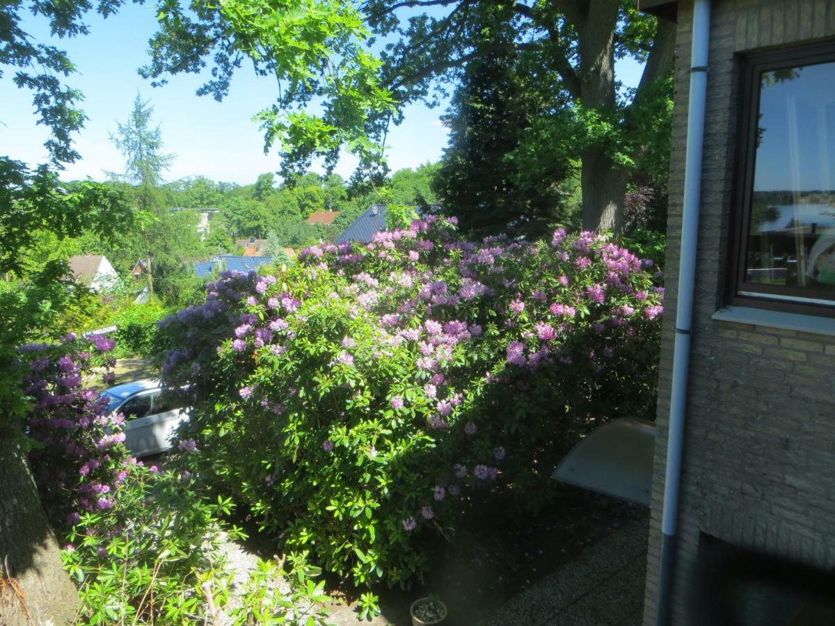 Appartmenthaus Panoramic Malente Eksteriør billede